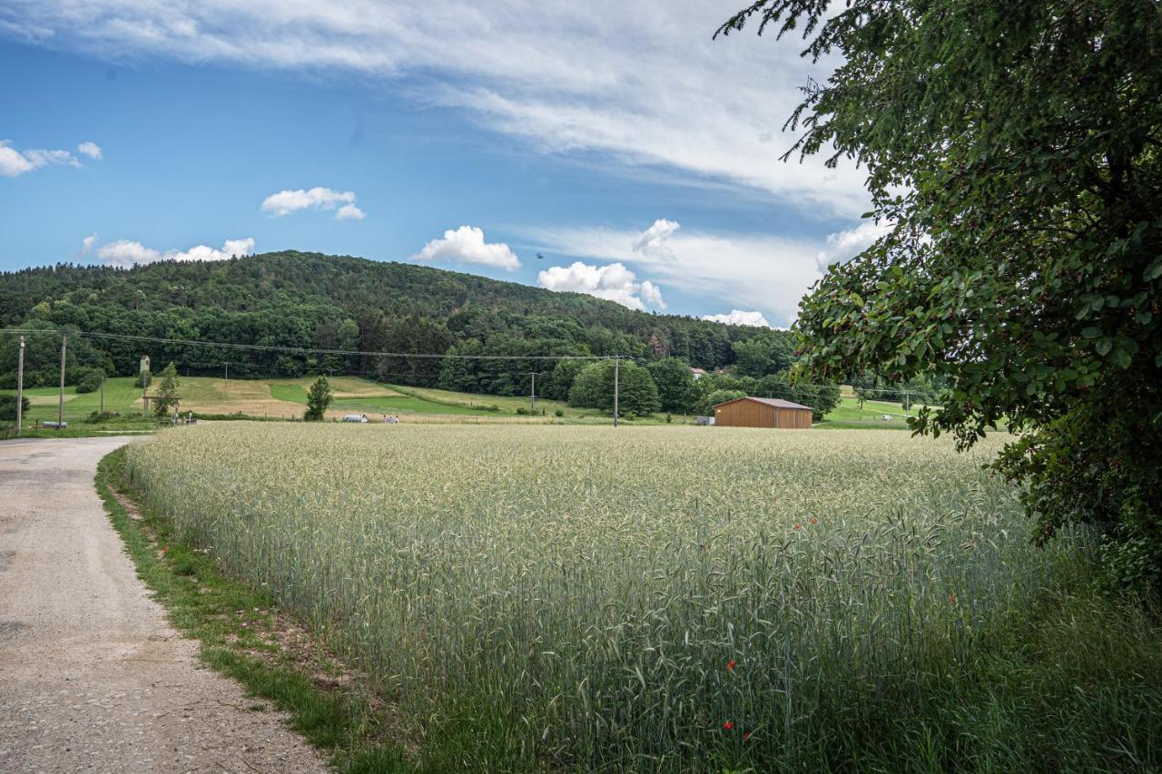 شقة Bleibe Am Moritzberg Haimendorf المظهر الخارجي الصورة